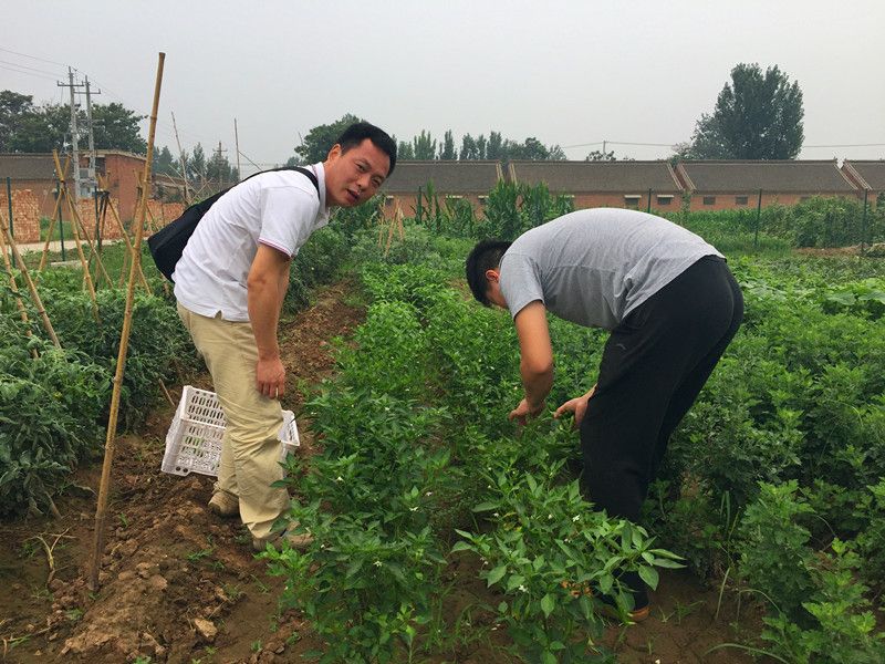 好利來郭總喊您來摘菜啦！綠色無公害，放心！